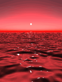 Sea in Evening.gif